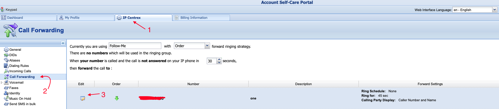 VirtualGlobalPhone Forwarding Rule 1