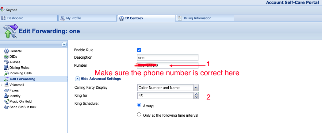 VirtualGlobalPhone Forwarding Rule 2